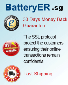  Laptop battery , http://www.batteryer.sg/, 15 months warranty.